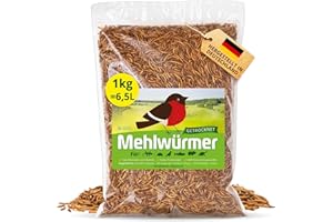 Detox Organica Mehlwürmer Getrocknet, 1Kg (6,5L) getrocknete Mehlwürmer mit sehr hohem Proteingehalt, Würmer für Reptilien, Vögel, Wildvögel, Igel, Fische, Schildkröten & Nager – Premium Qualität