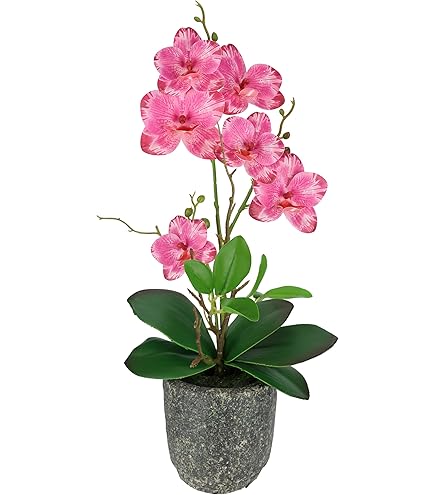 Künstliche Orchidee in Schale Kunstblume Blume Kunstorchidee