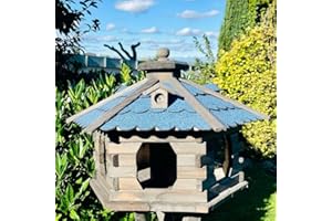 DARLUX Mangeoire à oiseaux en bois hexagonale, faite à la main, taille XL, marron/bleu