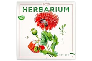 NOTIQUE Kalendarz ścienny na rok 2026, herbarium, bez plastiku, kalendarz broszurowy z miesięcznym kalendarzem, kalendarz broszurowy 30 x 30 cm (otwarty 30 x 60 cm)