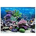 Aquarium Background Poster Fish Tank Backdrop PVC Adhesive Underwater Coral Reef Decor Paper Cling Decals Sticker(9141cm)