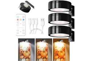 Winwj 3 Stück Bildbeleuchtung Kabellos, Aufladbar Bilderleuchte Kabellos mit Fernbedienung, Bild Licht mit 3 Lichtfarben, Dimmbar, Magnetisches LED Malerei Licht für Bilderrahmen, Wand, Regal, Bilder