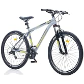 CORELLI VIA 1.2 MEN'S MOUNTAIN BIKE 18" V BRAKE 29 RIMS 21 VITES GRAY LIGHT GREEN GRAY (GREENWAY BIKE)
