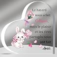 Plaques Acryliques Coeur HZBLAZ - Messages Inspirants - Cadeau Fille, Anniversaire, Diplôme - Motif Chat Mignon