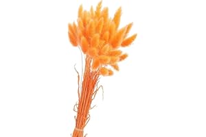 Yeehliny Pflanzenstiele, ländlicher Stil, Hasenschwanz Trockenblumen Deko ewig haltbar Pampasgras & getrocknete Blumen Pampasgras Trockenblumenstrauß Vase Deko,50 Stück (Orange)