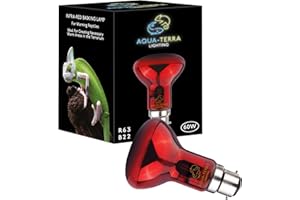 Aqua-Terra Lighting Lampe infrarouge 60 W pour reptiles, amphibiens et invertébrés - Ampoule spot R63 avec culot à baïonnette B22 standard compatible avec le chauffage du vivarium