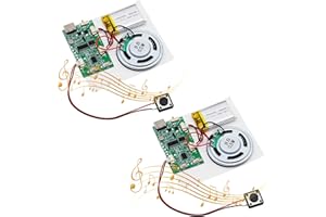 USB audio Modulo AYWHP 2PCS Type-C Modulo chip audio MP3 con batteria ricaricabile,altoparlante Per carte, regali, giocattoli