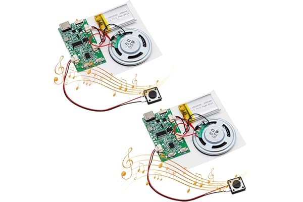 Module de Son MP3 AYWHP 2PCS Module d'enregistrement Vocal Musical DIY avec Haut Parleur,Batterie pour des Cartes de vœux personnalisées et des Cartes de Bricolage pour Les fêtes