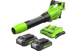 Greenworks Tools 48V(24V x 2）Soffiatore Assiale a Batteria, Ioni di Litio Velocità d'Aria 217 Km/h Potente Tubo Soffiatore Assiale Controllo di Velocità Elettronico Con Batteria e Caricatore GD24X2AB