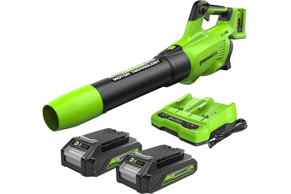 Greenworks 48V(24Vx2) Souffleur à Batterie Axial de Feuilles Sans Fil avec Moteur Sans Balai, Fonction Turbo, 217 km/h, 16,4 m³/min, AVEC Deux Batteries 24V 2Ah et Chargeur, Garantie 3 Ans GD24X2ABK2X