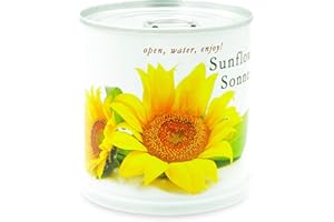 MacFlowers Słonecznik - kwiaty w puszce