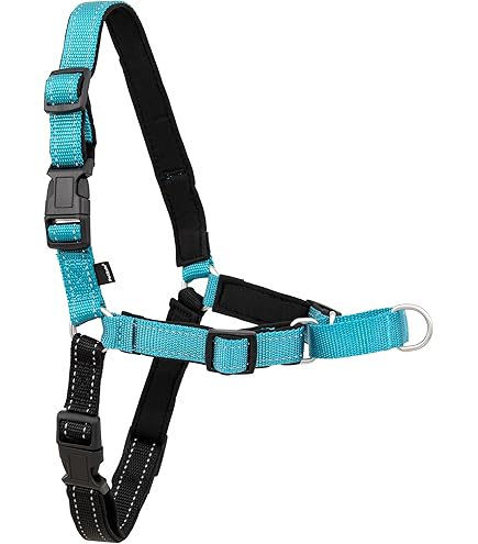Imbracatura Anti-Tiro PetSafe 3 In 1 Per Cani – Regolabile, Imbottita E Riflettente, Con Cintura Di Sicurezza Auto, Taglia XS