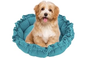 LARFRAECY Letto per cani da interno, Letto accogliente per cuccioli Letto per cani retrattile e calmante Letti morbidi per gatti Accessori lavabili per gabbie per cani Cuscino per letto invernale (Verde)