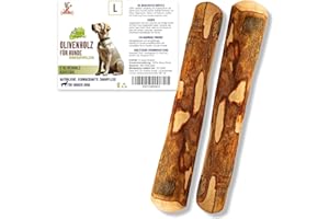 Matchpet Olivenholz Kauknochen für Hunde L — 2 Stück Natürliches Kauholz & Holzknochen als Hundespielzeug, für Große Hunde 26–35 kg, Zahnpflege, Langlebig & Kauspielzeug Hund