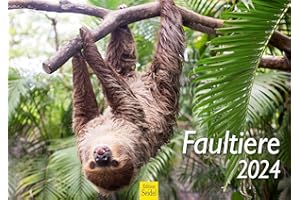 Edition Seidel Premium Kalender Faultiere 2024 Format DIN A3 Wandkalender Tierkalender Tier Faultier Hakenklauen Wildtiere Säugetiere