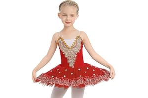 IBTOM CASTLE Fille sans Manches Robe Ballet Brodée de Plumes Justaucorps Gymnastique Patinage Ballet Tutu Costume de Danse Enfant Ballerina 4-14 Ans