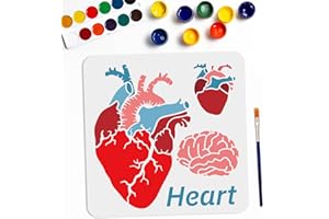 MAYJOYDIY Heart Brain Stencil Set, 30x30 cm, Anatomical Heart and Brain Patterns with Paint Brush, Reusable PET Template for Halloween Decor