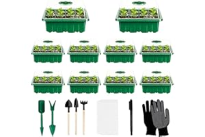 ROEXUN Zimmergewächshaus Anzuchtkasten,10 Stück Mini Gewächshaus Anzuchtset Setzling Starter Tabletts Treibhaus Anzuchtschale,mit Pflanzenetikett und Gartengeräte Verstellbaren Kuppeldeckeln Gewächshaus