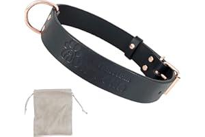 AVANZONA Cani Collare Pelle, Qualità Morbida Pelle, Fatto A Mano in Spagna, Piccola Media Grande Cani. Nero e Oro Rosa.