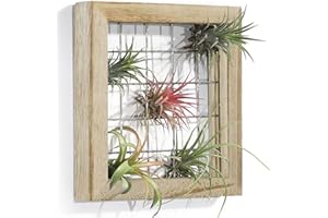 AOAOPQ Wood Hanging Air Plant Holder Mesh Plant Grower Frame Wall Mounted Plant Holder Air Plant Shelf Hang Wall Decor for House Plants Succulent Picture Office House Patio Garden Balcony