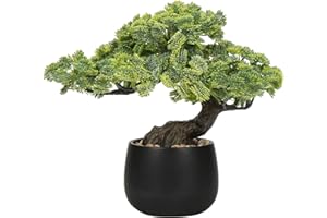 ‎OAIRSE Oairse 25 cm Kunstpflanze Bonsai Baum im Keramiktopf Künstliche Pflanzen Aesthetic Japanische Bonsai Deko für Wohnzimmer Schlafzimmer Badzimmer Fensterbank Dekoration - Podocarpus Kunstbonsai