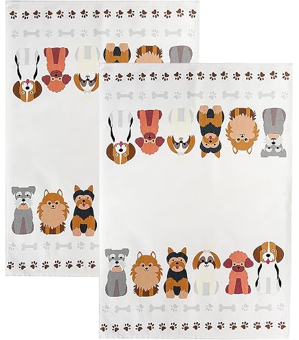 Litterary Kitties 2025 12\" X 12\" Wall Calendar : Willow Creek Press
