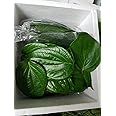 Portal Cool Betel Leaf/FreshLeaf, Paan Leaves 10 Pcs For Pooja/Ediable. Uk Seller