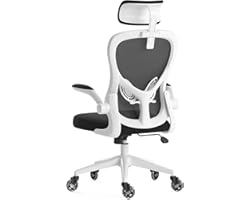 Hbada Ergonomic Office Chair, High-Back Desk Chair, Computer Chair with Flip-up Armrest, Lumbar Support, Adjustable Headrest,