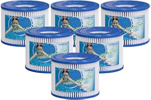 TOREAD Lot de 6 filtres de Type VI pour Spa et - Remplace Les filtres Coleman SaluSpa 90352E Bestway