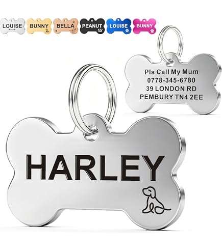 Walking Dead Season 2 Dog Tag, Stick & Carabiner Pack [Random