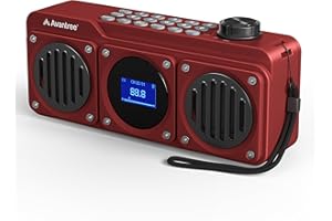 Avantree Boombyte - Radio FM Portátil Pequeña 4 en 1 y Altavoz Bluetooth con Altavoz Duales (14W), Volumen Potente, Sonido Estéreo, Lector Micro SD y Puerto USB, Reproductor de MP3 Recargable - Rojo