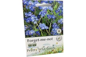 PRETTY WILD SEEDS Forget Me Not Seeds Wild Flower Meadow Seeds Pictorial Packets