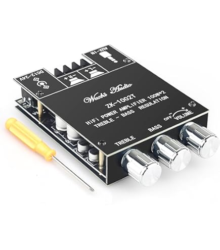 FlyRobo HiFi AUX TPA3116 Xinyi Sini Audio 2 * 100W Digital Power