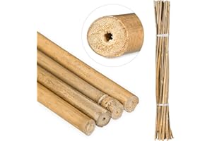Suinga - Pack 20 x TUTORES DE Bambu 90 cm, diámetro 6-10 mm. Tutores para Plantas. Caña de bambú Uso agrícola para Sujetar árboles, Plantas y hortalizas