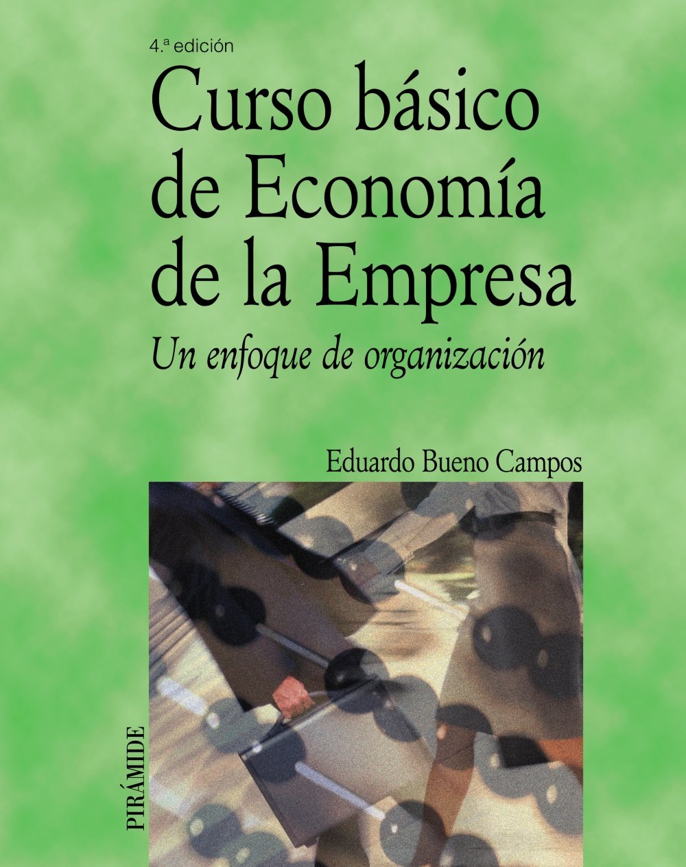 Curso básico de Economía de la Empresa: Un enfoque de organización
