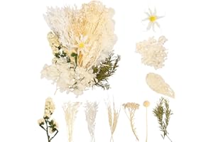 LAUMOE Trockenblumen, Getrocknete Blumen, Trockenblumen Zum Basteln Mini Trockenblumen Trockenblumen klein für Kunst Basteln DIY Harz Scrapbooking Handwerk Karten Mache (Stil 3)