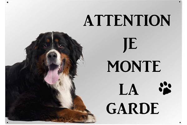 plaque attention chien bouvier bernois en métal 29 x 20 cm env réf 40