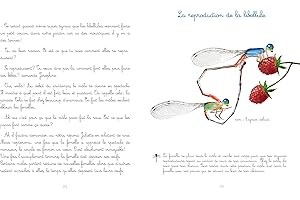 Le jardin de Juliette et Joséphine : la libellule