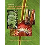 Tropische, subtropische und winterharte Bananen: Anleitung zum erfolgreichen Bananenanbau