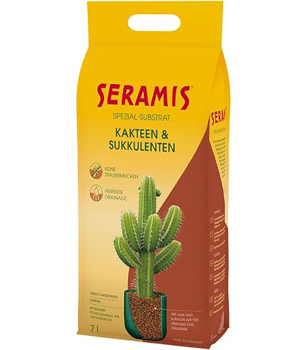 Set Da 2 Biophytum Sensitivum - Palma Del Sud In Vaso 9cm | Pianta Che Dorme, Ideale Per Terrari - 2