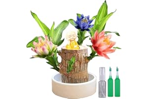 HOPASRISEE Terrarium Glücksholz, Veredeltes brasilianisches Holz, Brazil Lucky Wood, Glücksholz, Brasilianisches Glücksholz, Brazilian Wood Plant, Hydroponic Tree Stump Desktop Plants (Monk Ornaments)