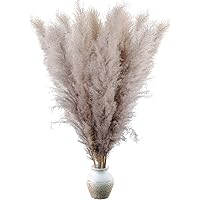 GoMaihe 10 Stück Pampasgras Getrocknet Groß, Trockenblumen Vasen Grau Getrocknete Blumen 112cm, Boho Deko für Hochzeit…