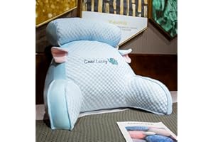 LANPEW Poduszka do czytania z rozdrobnioną pianką memory ze zdejmowaną rolką pod kark – idealna jako podparcie pleców do czytania, pracy i zabawy na łóżku, sofie lub kanapie (ziarnisty aksamit niebieski, 75