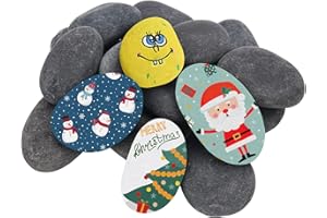 Hisredsun 16 pièces Pierres Plates à Peindre, 4-7 cm Grands Galets Lisses, Pierres décoratives Pierre Naturelle,Pierre de rivière Naturelle pour Peindre Mandala,Jardin Zen,Pots de Fleurs et Aquariums