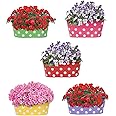 RVOLD Rust Free Dotted Oval Railing Planter for Balcony and Garden Flower Planting Set Pack of 5