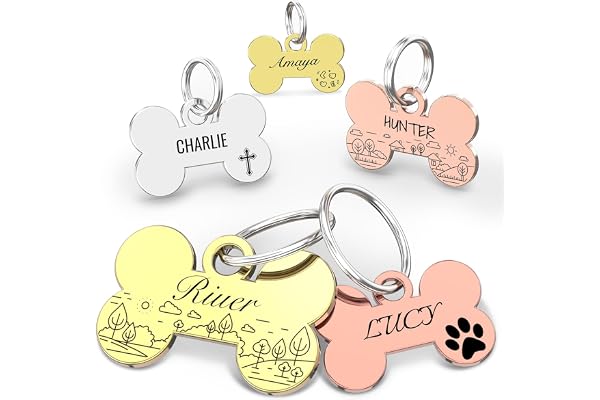 Médaille d'identification personnalisée pour animal de compagnie – Gravure au laser des deux côtés, acier inoxydable poli, forme d'os à bords lisses.