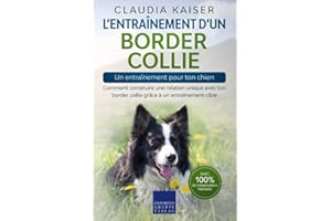 L’entraînement d’un border collie – un entraînement pour ton chien: Comment construire une relation unique avec ton border collie grâce à un entraînement ciblé
