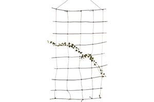 UNUS Nature by Kolibri Tuteur Support pour Plantes grimpantes et rosiers, Treillis en Saule et Jute 115x200cm