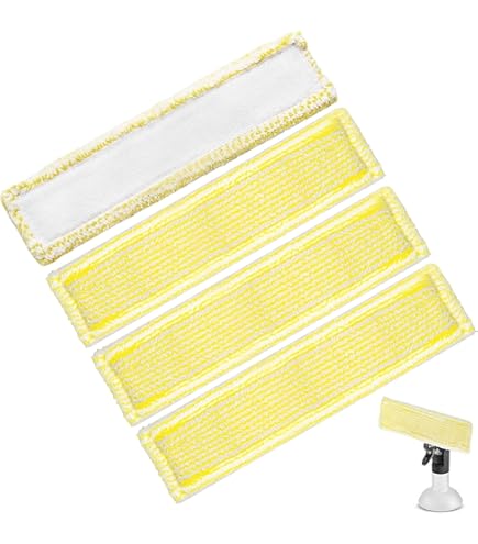 Raclette Vitre Et Miroir Nettoyeur Vapeur Karcher 28630250