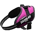 Julius-K9, 16IDC-DPN-M, IDC Powerharness, dog harness, Size: Mini, Dark Pink